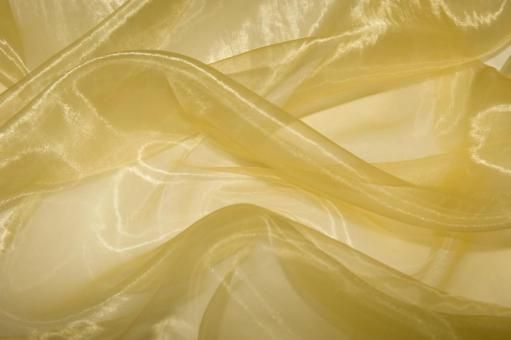 Organza Stoff Gold